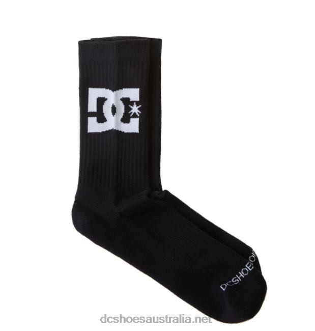 Men's DC Star 2-Pack Crew SocksDC Shoes Black T40LZ84