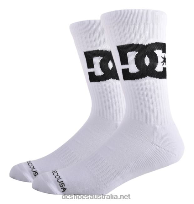 Men's DC Star 2-Pack Crew SocksDC Shoes White T40LZ117