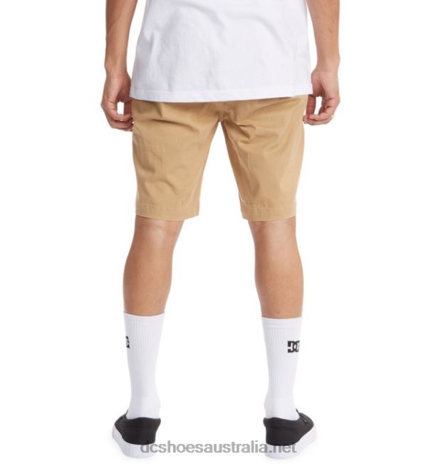 Men's Worker Chino ShortsDC Shoes Incense T40LZ127