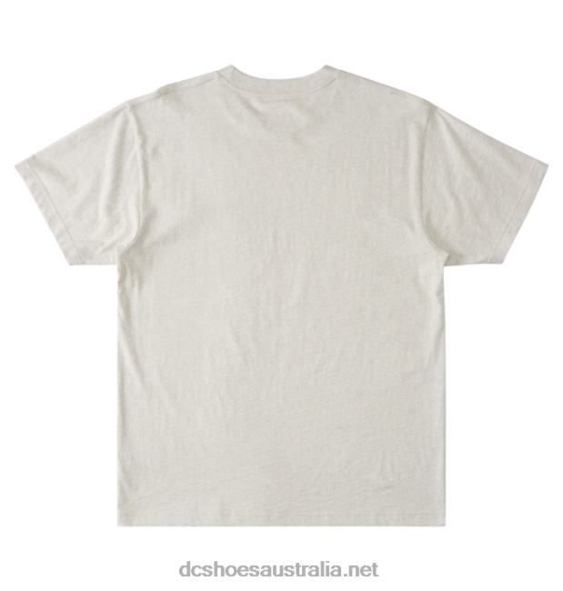 Men's Cafe x DC T-ShirtDC Shoes Ash Heather T40LZ32