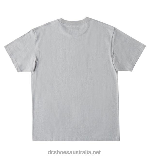 Men's DC Star Fill Heritage T-ShirtDC Shoes Heather Grey/Warm Ice Dye T40LZ78