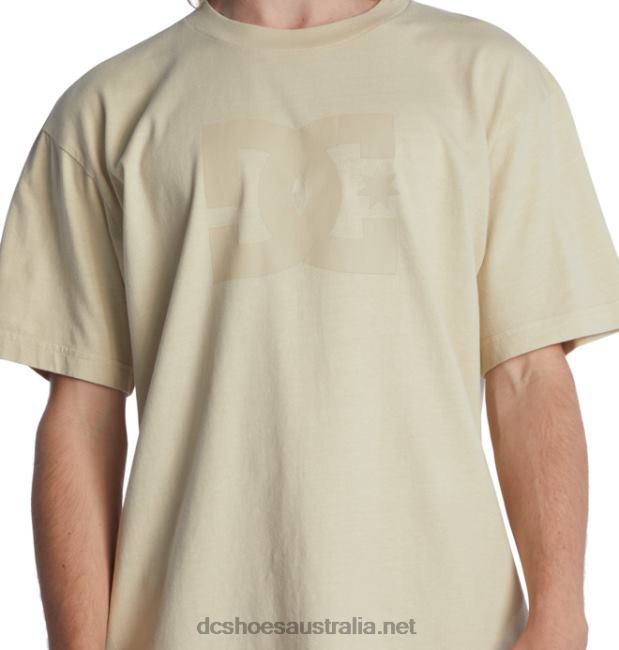 Men's DC Star Pigment Dye T-ShirtDC Shoes Overcast Enzyme Wash T40LZ50