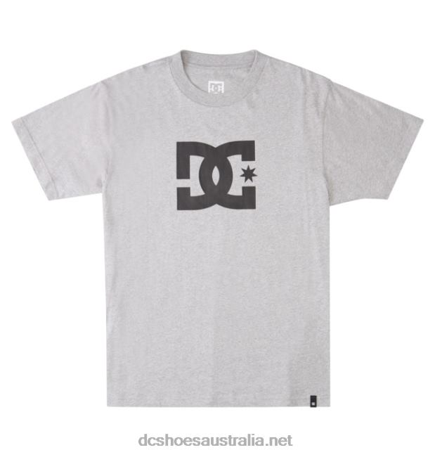 Men's DC Star T-ShirtDC Shoes Heather Grey T40LZ72