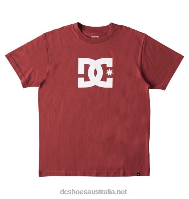 Men's DC Star T-ShirtDC Shoes Red Earth T40LZ398
