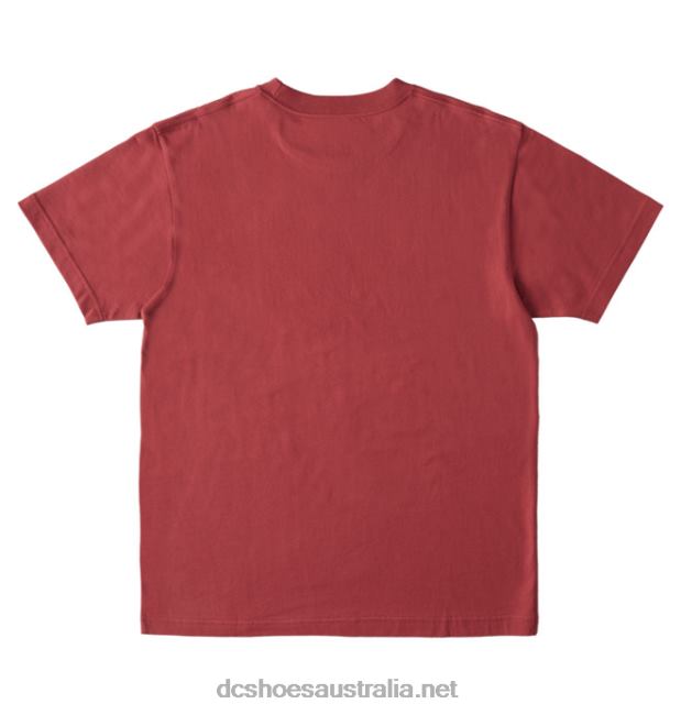 Men's DC Star T-ShirtDC Shoes Red Earth T40LZ398