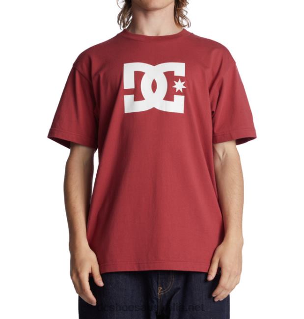 Men's DC Star T-ShirtDC Shoes Red Earth T40LZ398