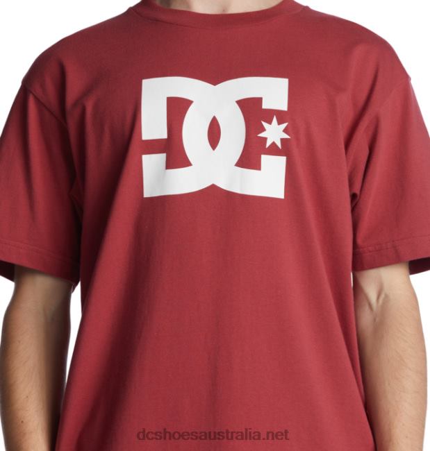 Men's DC Star T-ShirtDC Shoes Red Earth T40LZ398