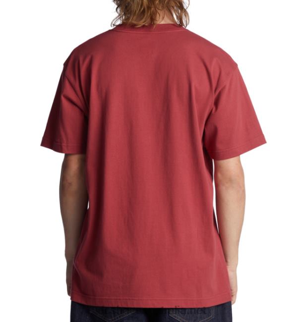 Men's DC Star T-ShirtDC Shoes Red Earth T40LZ398