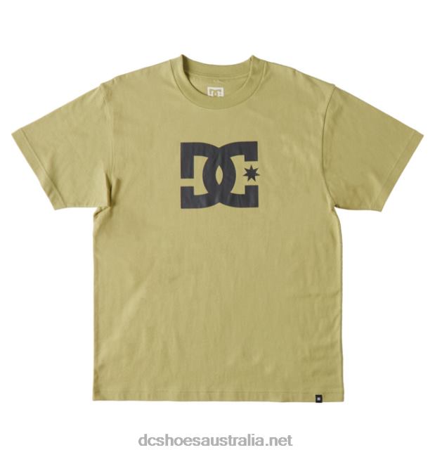 Men's DC Star T-ShirtDC Shoes Sage T40LZ73