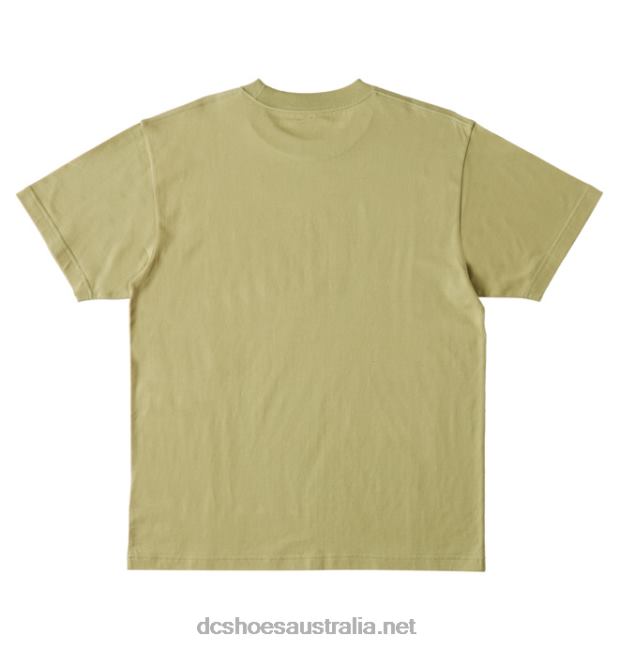 Men's DC Star T-ShirtDC Shoes Sage T40LZ73