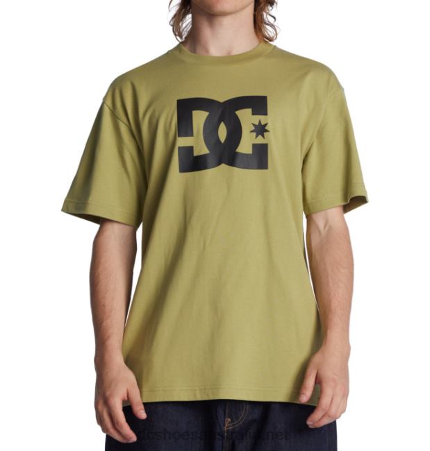 Men's DC Star T-ShirtDC Shoes Sage T40LZ73