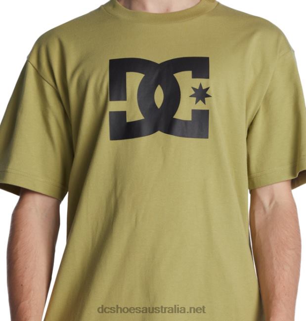 Men's DC Star T-ShirtDC Shoes Sage T40LZ73