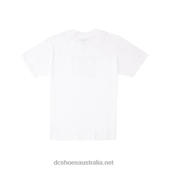 Men's DC Star T-ShirtDC Shoes White T40LZ400