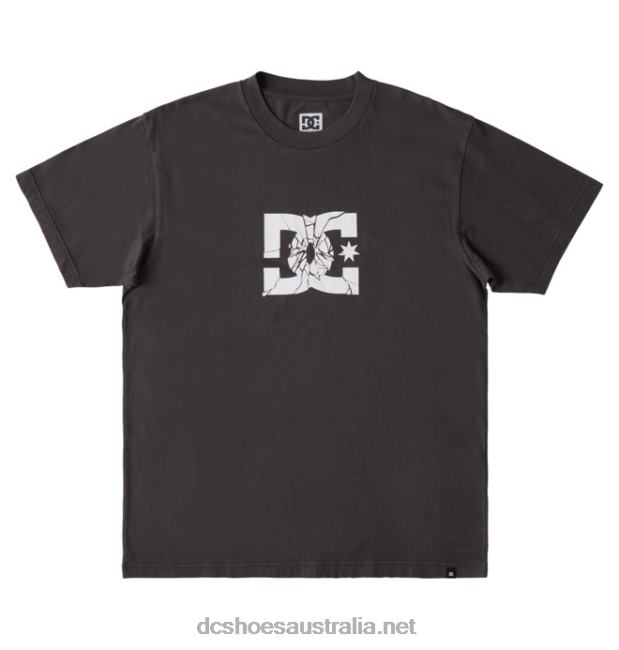 Men's Shatter T-ShirtDC Shoes Black Enzyme Wash T40LZ113