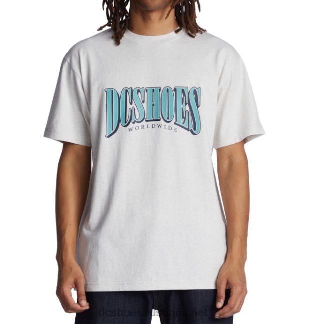 Men's Tall Stack T-ShirtDC Shoes Snow Heather T40LZ119