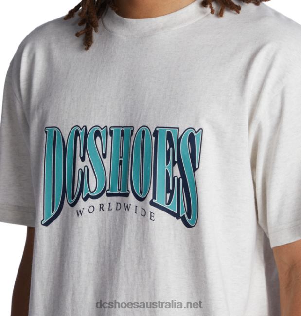 Men's Tall Stack T-ShirtDC Shoes Snow Heather T40LZ119