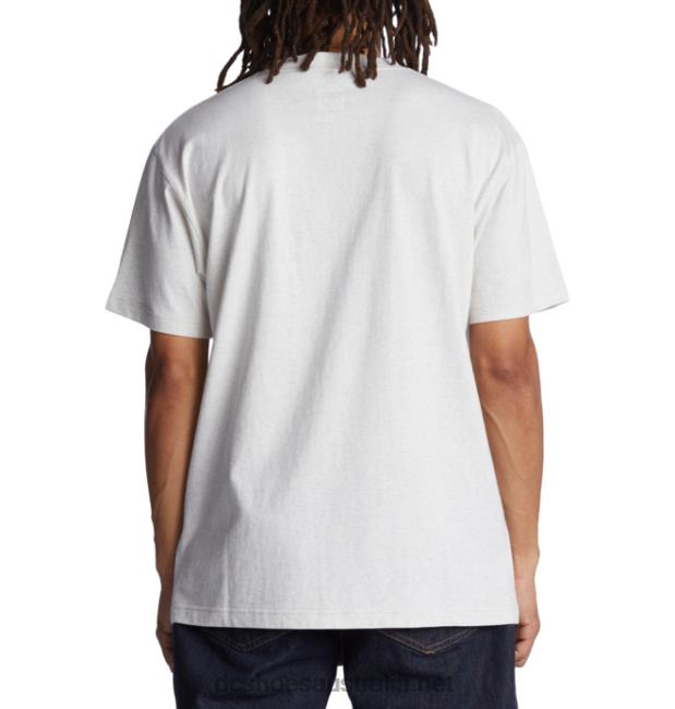 Men's Tall Stack T-ShirtDC Shoes Snow Heather T40LZ119