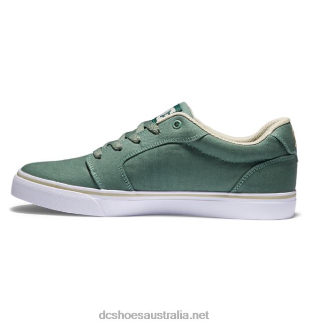 Men's Anvil Canvas ShoesDC Shoes Green/White T40LZ288