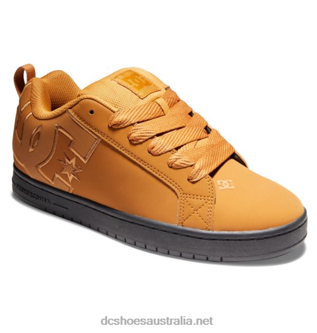 Men's Court Graffik ShoesDC Shoes Wheat T40LZ291
