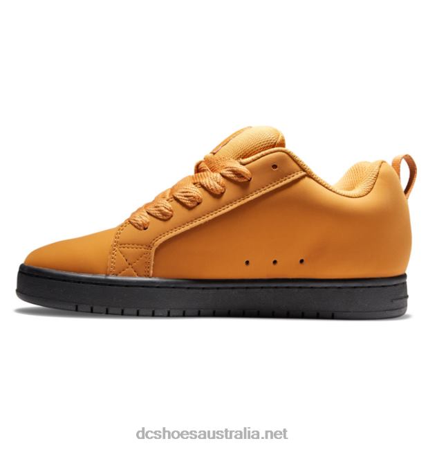 Men's Court Graffik ShoesDC Shoes Wheat T40LZ291