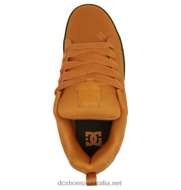 Men's Court Graffik ShoesDC Shoes Wheat T40LZ291