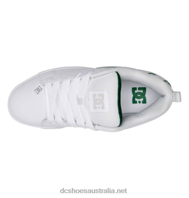 Men's Court Graffik ShoesDC Shoes White/Green T40LZ279