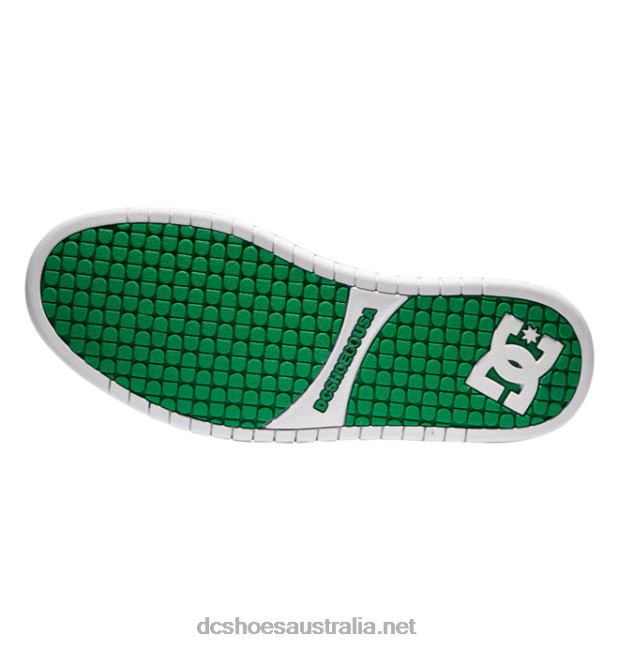 Men's Court Graffik ShoesDC Shoes White/Green T40LZ279