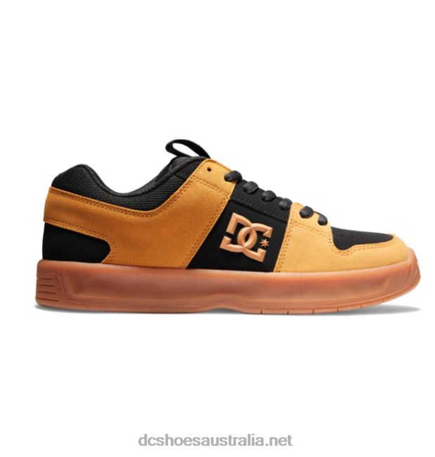 Men's Lynx Zero ShoesDC Shoes Black/Wheat T40LZ377