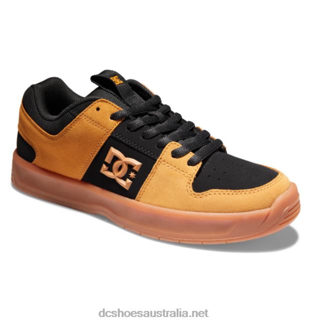 Men's Lynx Zero ShoesDC Shoes Black/Wheat T40LZ377