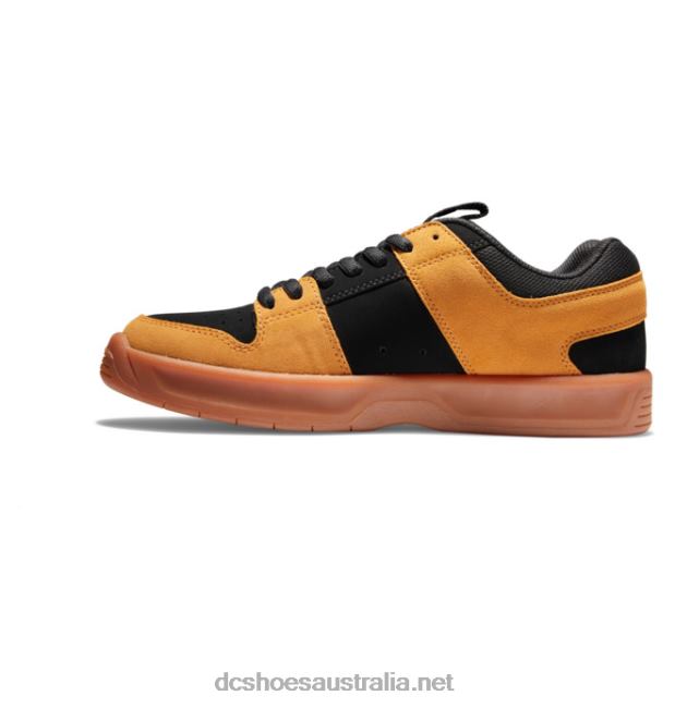 Men's Lynx Zero ShoesDC Shoes Black/Wheat T40LZ377