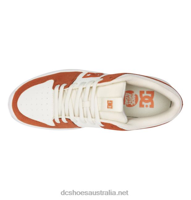 Men's Lynx Zero ShoesDC Shoes Brown/Tan T40LZ46