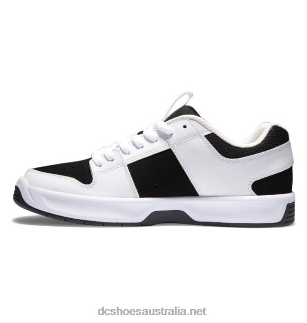 Men's Lynx Zero ShoesDC Shoes White/Black T40LZ310