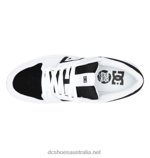 Men's Lynx Zero ShoesDC Shoes White/Black T40LZ310