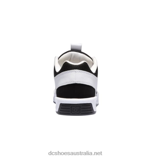 Men's Lynx Zero ShoesDC Shoes White/Black T40LZ310