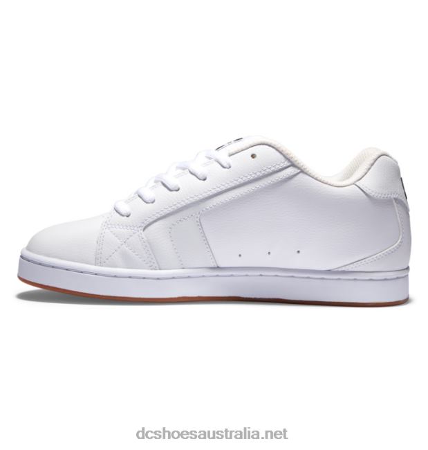 Men's Net ShoesDC Shoes White/Grey T40LZ193