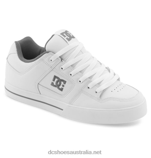 Men's Pure ShoesDC Shoes White/Battleship T40LZ245