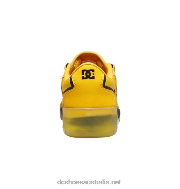 Men's DC Metric Skate ShoesDC Shoes Gold/Black T40LZ337