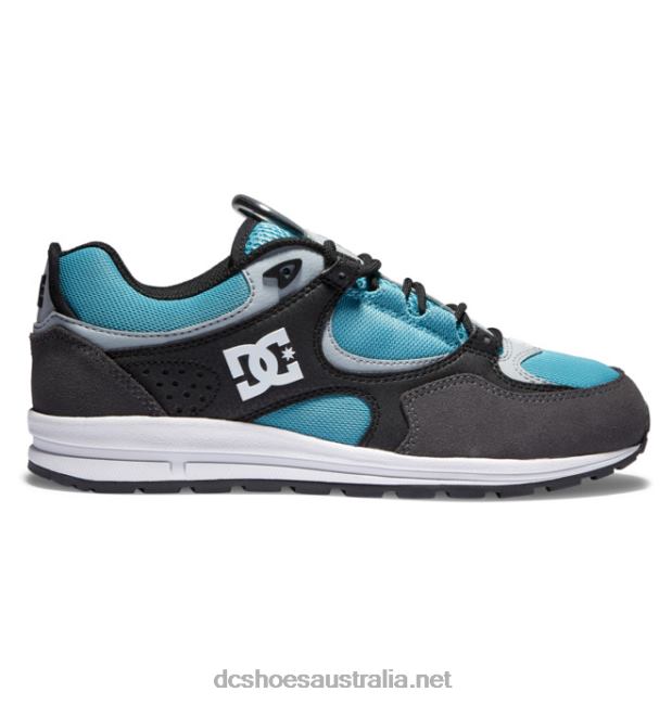 Men's Kalis Lite Skate ShoesDC Shoes Black/Grey/Blue T40LZ175