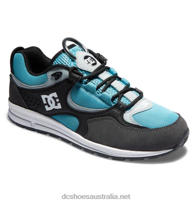 Men's Kalis Lite Skate ShoesDC Shoes Black/Grey/Blue T40LZ175