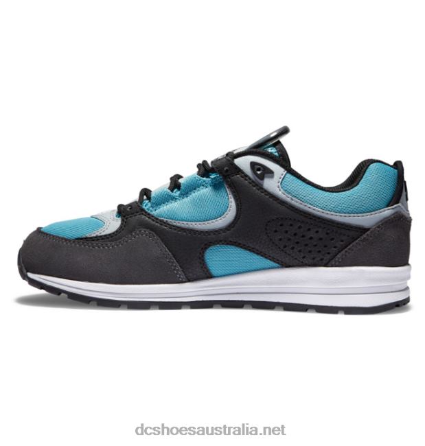 Men's Kalis Lite Skate ShoesDC Shoes Black/Grey/Blue T40LZ175