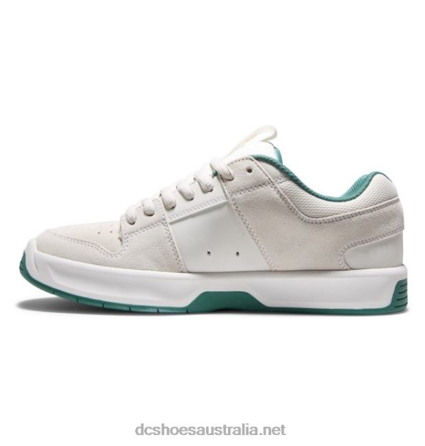Men's Lynx Zero Skate ShoesDC Shoes Light Grey T40LZ367