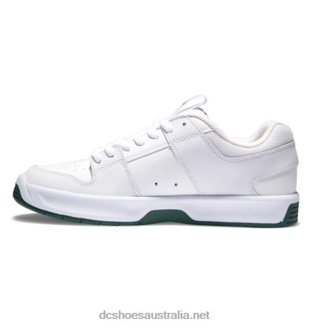 Men's Lynx Zero Skate ShoesDC Shoes White/Green T40LZ236