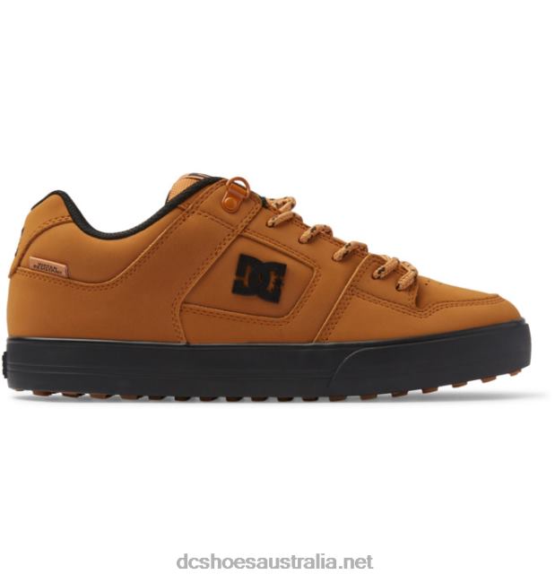 Men's Pure Winterized Skate ShoesDC Shoes Wheat T40LZ187