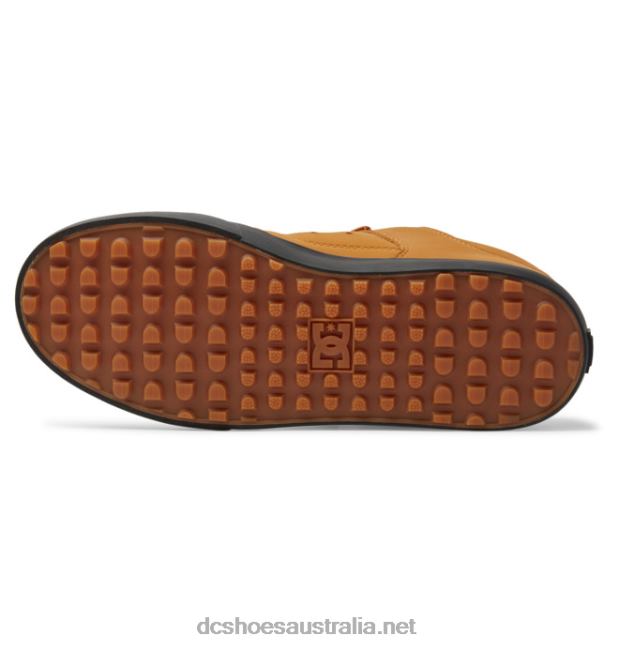 Men's Pure Winterized Skate ShoesDC Shoes Wheat T40LZ187