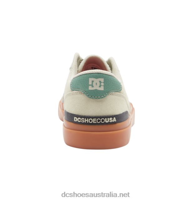 Men's Teknic S Skate ShoesDC Shoes Tan/Green T40LZ28