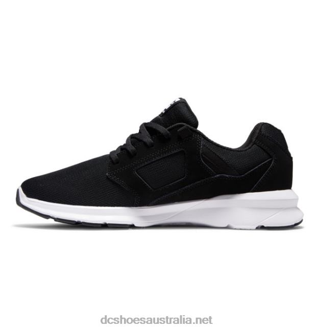 Men's Skyline Lightweight ShoesDC Shoes Black/White T40LZ284