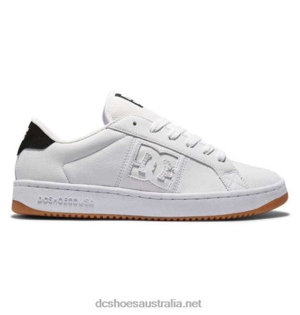 Men's Striker ShoesDC Shoes White/Black/Gum T40LZ153