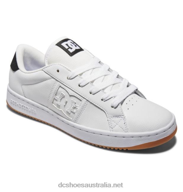 Men's Striker ShoesDC Shoes White/Black/Gum T40LZ153