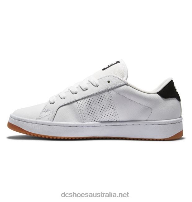 Men's Striker ShoesDC Shoes White/Black/Gum T40LZ153