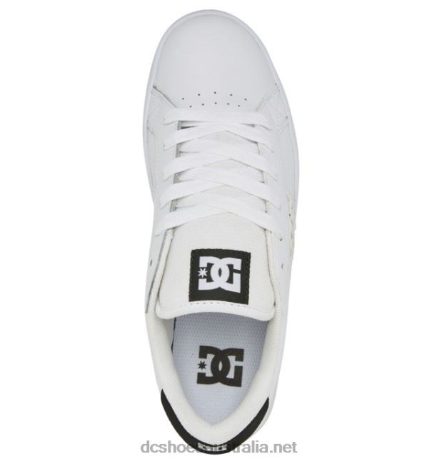 Men's Striker ShoesDC Shoes White/Black/Gum T40LZ153